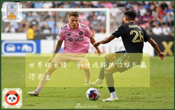 世界杯竞猜，如何选择热门球队赢得奖金