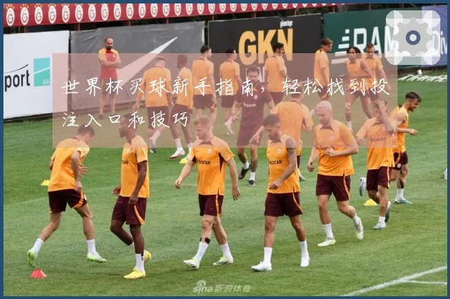世界杯买球新手指南，轻松找到投注入口和技巧