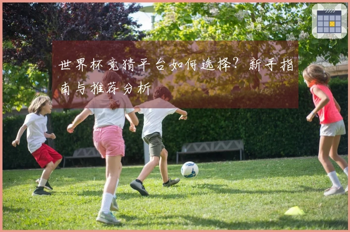 世界杯竞猜平台如何选择？新手指南与推荐分析