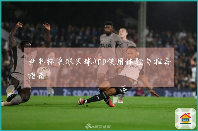 世界杯滚球买球App使用体验与推荐指南