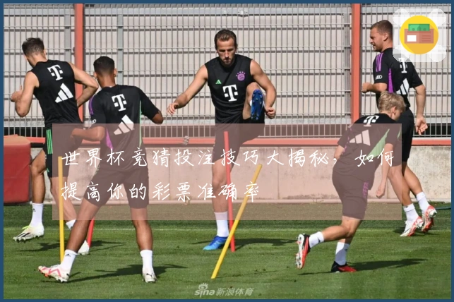 世界杯竞猜投注技巧大揭秘，如何提高你的彩票准确率