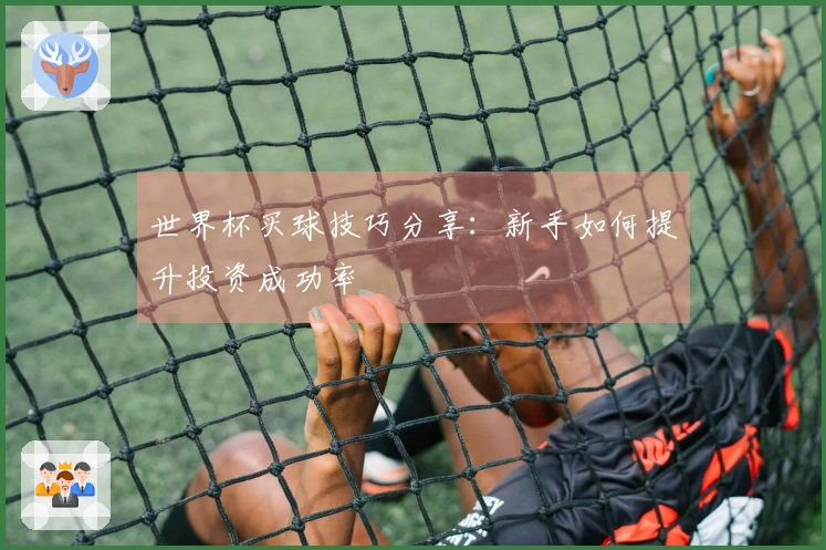 世界杯买球技巧分享：新手如何提升投资成功率