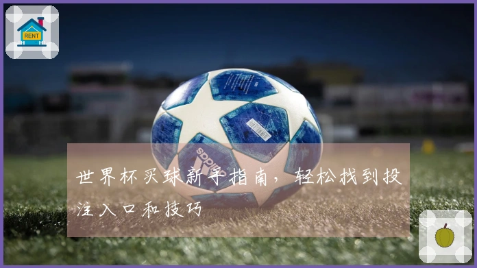 世界杯买球新手指南，轻松找到投注入口和技巧